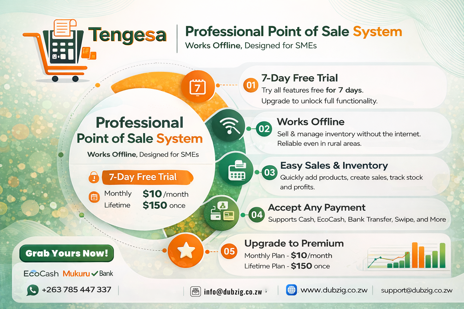 Tengesa POS Infographic
